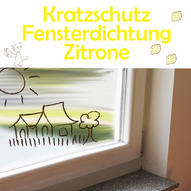 Fensterdichtungen gegen Kratzen schützen